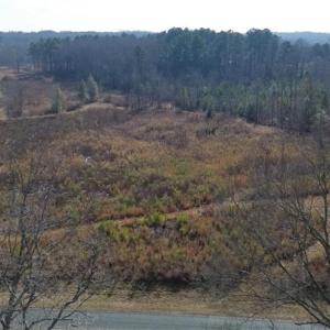 Photo #1 of Johnny Shaw, Moncure, NC 10.1 acres