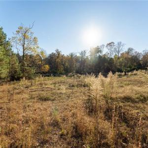 Photo #6 of 120 Brookberry, Jamestown, NC 7.9 acres