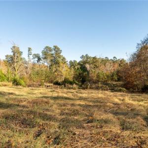 Photo #17 of 120 Brookberry, Jamestown, NC 7.9 acres