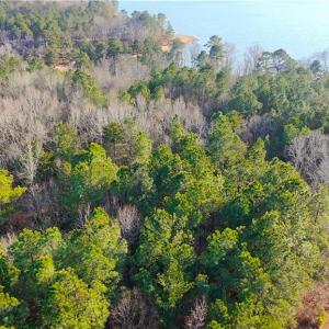 Photo #13 of 104 State, Rockingham, NC 1.1 acres