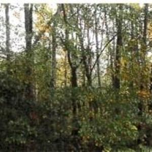 Photo #1 of Morning Star, Winston-Salem, NC 4.1 acres