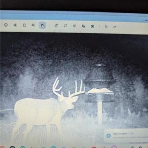 Photo #24 of 8383 Nc Highway 14, Eden, NC 18.0 acres