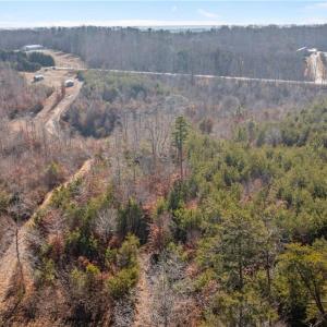 Photo #11 of 8383 Nc Highway 14, Eden, NC 18.0 acres