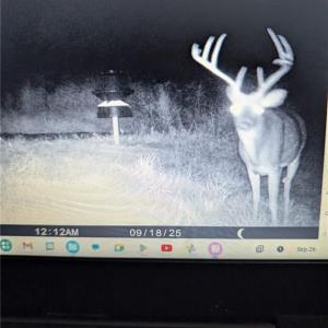 Photo #25 of 8383 Nc Highway 14, Eden, NC 18.0 acres