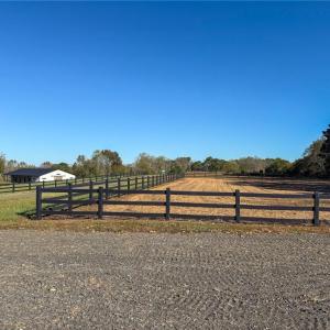 Photo #6 of 979 Perkinson, Ruffin, NC 56.6 acres