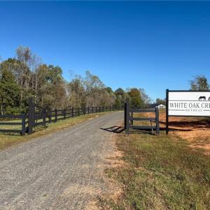 Photo #3 of 979 Perkinson, Ruffin, NC 56.6 acres