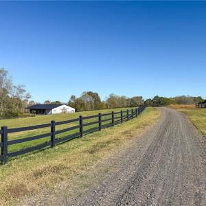 Photo #5 of 979 Perkinson, Ruffin, NC 56.6 acres
