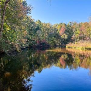 Photo #34 of 979 Perkinson, Ruffin, NC 56.6 acres