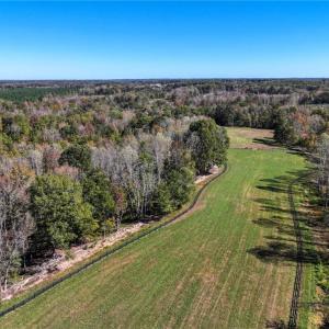 Photo #18 of 979 Perkinson, Ruffin, NC 56.6 acres