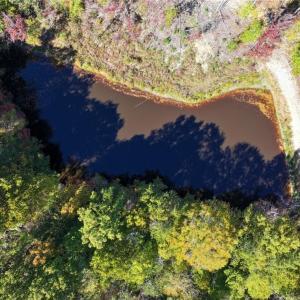 Photo #37 of 979 Perkinson, Ruffin, NC 56.6 acres