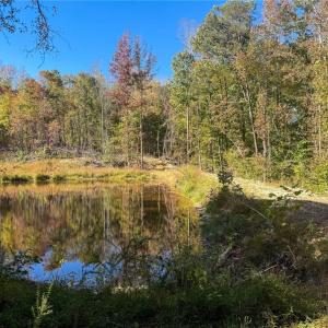 Photo #35 of 979 Perkinson, Ruffin, NC 56.6 acres