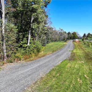 Photo #4 of 979 Perkinson, Ruffin, NC 56.6 acres