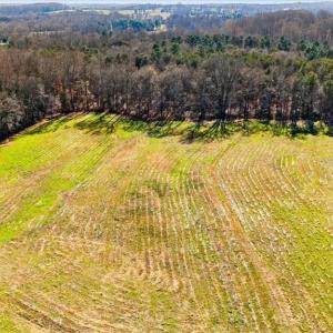 Photo #11 of 28 acres Angell, Mocksville, NC 28.3 acres