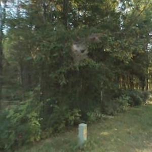 Photo #2 of Red Fern, Mocksville, NC 10.5 acres