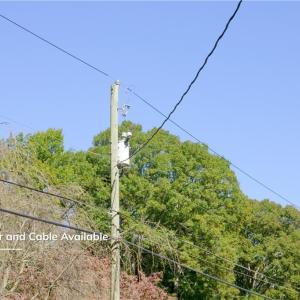 Photo #43 of 1039 Huntingdon, Winston-Salem, NC 0.3 acres