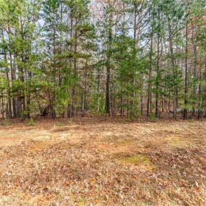 Photo #2 of 117 Starboard Reach, Lexington, NC 2.7 acres