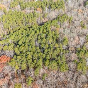 Photo #13 of 117 Starboard Reach, Lexington, NC 2.7 acres