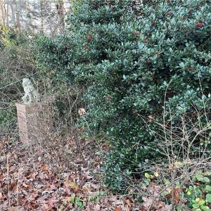 Photo #2 of 2136 and 0 Vienna Dozier, Pfafftown, NC 1.5 acres