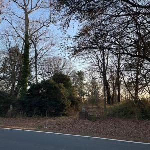 Photo #3 of 2136 and 0 Vienna Dozier, Pfafftown, NC 1.5 acres