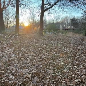 Photo #1 of 2136 and 0 Vienna Dozier, Pfafftown, NC 1.5 acres