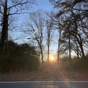 Photo #4 of 2136 and 0 Vienna Dozier, Pfafftown, NC 1.5 acres