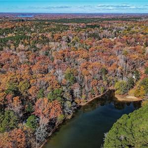 Photo #1 of Scout, Lexington, NC 42.1 acres