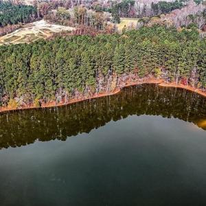 Photo #6 of Cat fish, Salisbury, NC 84.9 acres