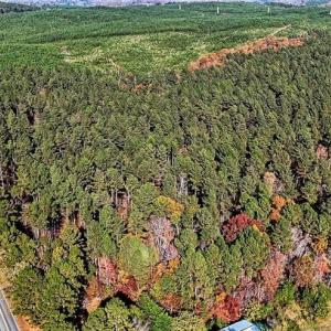 Photo #4 of 02 Highway 49, New London, NC 26.5 acres