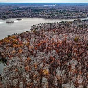 Photo #13 of Old Mountain, Lexington, NC 126.8 acres