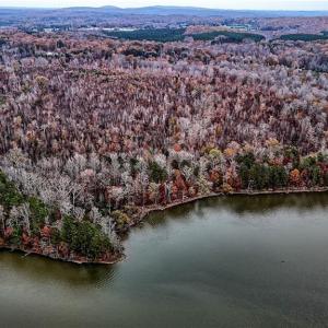 Photo #3 of Old Mountain, Lexington, NC 126.8 acres