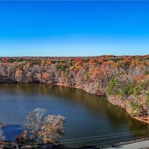 Photo #18 of Old Mountain, Lexington, NC 126.8 acres