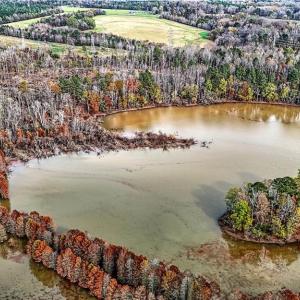 Photo #23 of Lake Fork, Salisbury, NC 336.8 acres