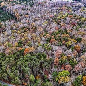 Photo #27 of Lake Fork, Salisbury, NC 336.8 acres