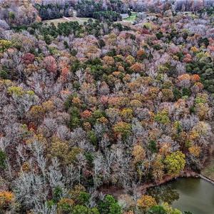 Photo #29 of Lake Fork, Salisbury, NC 336.8 acres