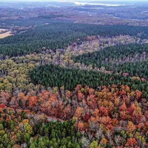 Photo #3 of Panther Creek, Salisbury, NC 132.3 acres