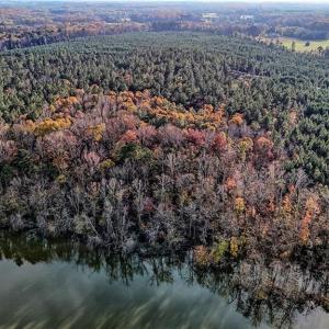 Photo #2 of 01 River, Richfield, NC 128.0 acres