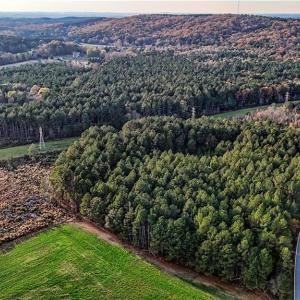 Photo #5 of River, Richfield, NC 148.7 acres