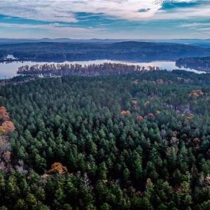 Photo #4 of 01 Highway 49, New London, NC 304.0 acres