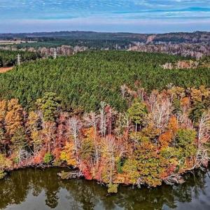 Photo #8 of 01 Highway 49, New London, NC 304.0 acres