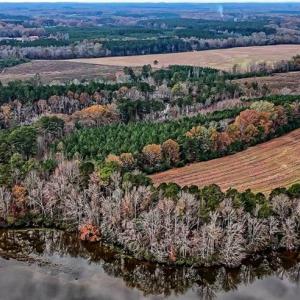 Photo #7 of 02 Highway 49, Richfield, NC 617.2 acres