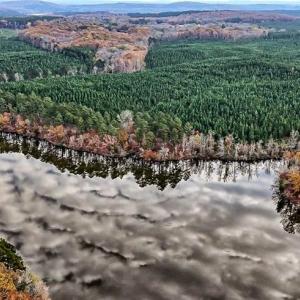 Photo #1 of 02 Highway 49, Richfield, NC 617.2 acres