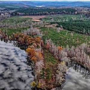 Photo #4 of 02 Highway 49, Richfield, NC 617.2 acres