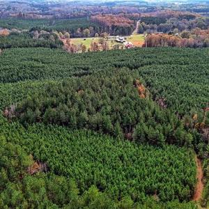 Photo #8 of 02 Highway 49, Richfield, NC 617.2 acres