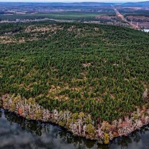 Photo #6 of 01 Stokes Ferry, Richfield, NC 714.1 acres