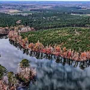 Photo #7 of 01 Stokes Ferry, Richfield, NC 714.1 acres