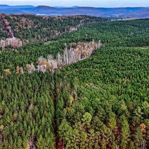 Photo #2 of Stokes Ferry, Richfield, NC 769.3 acres