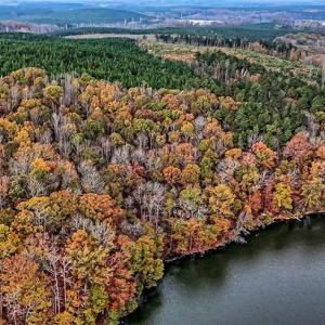 Photo #6 of Stokes Ferry, Richfield, NC 769.3 acres