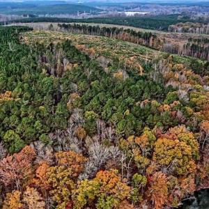 Photo #7 of Stokes Ferry, Richfield, NC 769.3 acres