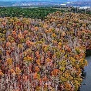 Photo #5 of Stokes Ferry, Richfield, NC 769.3 acres