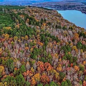 Photo #4 of Stokes Ferry, Richfield, NC 769.3 acres